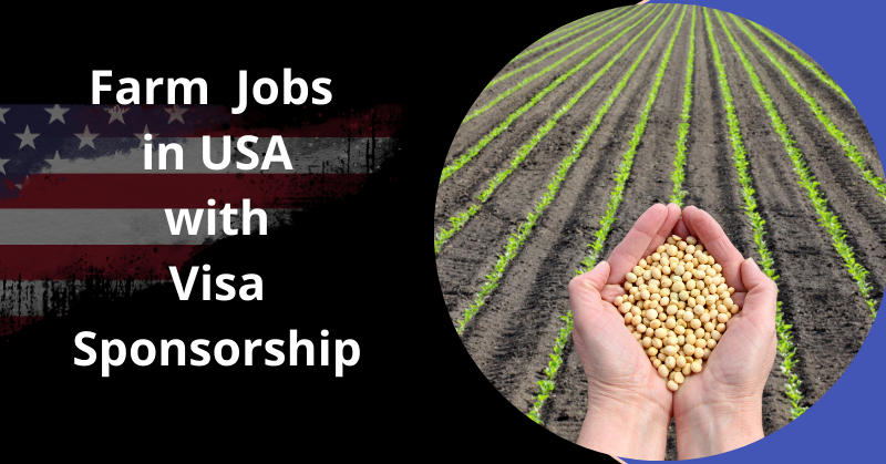 Farm jobs in the United States of America with free visa care – travel and transportation Farm jobs in the United States of America with free visa care – travel and transportation